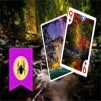 Thumbnail game - Nature Spider