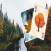 Thumbnail game - Season Solitaire