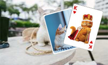 Cats Solitaire